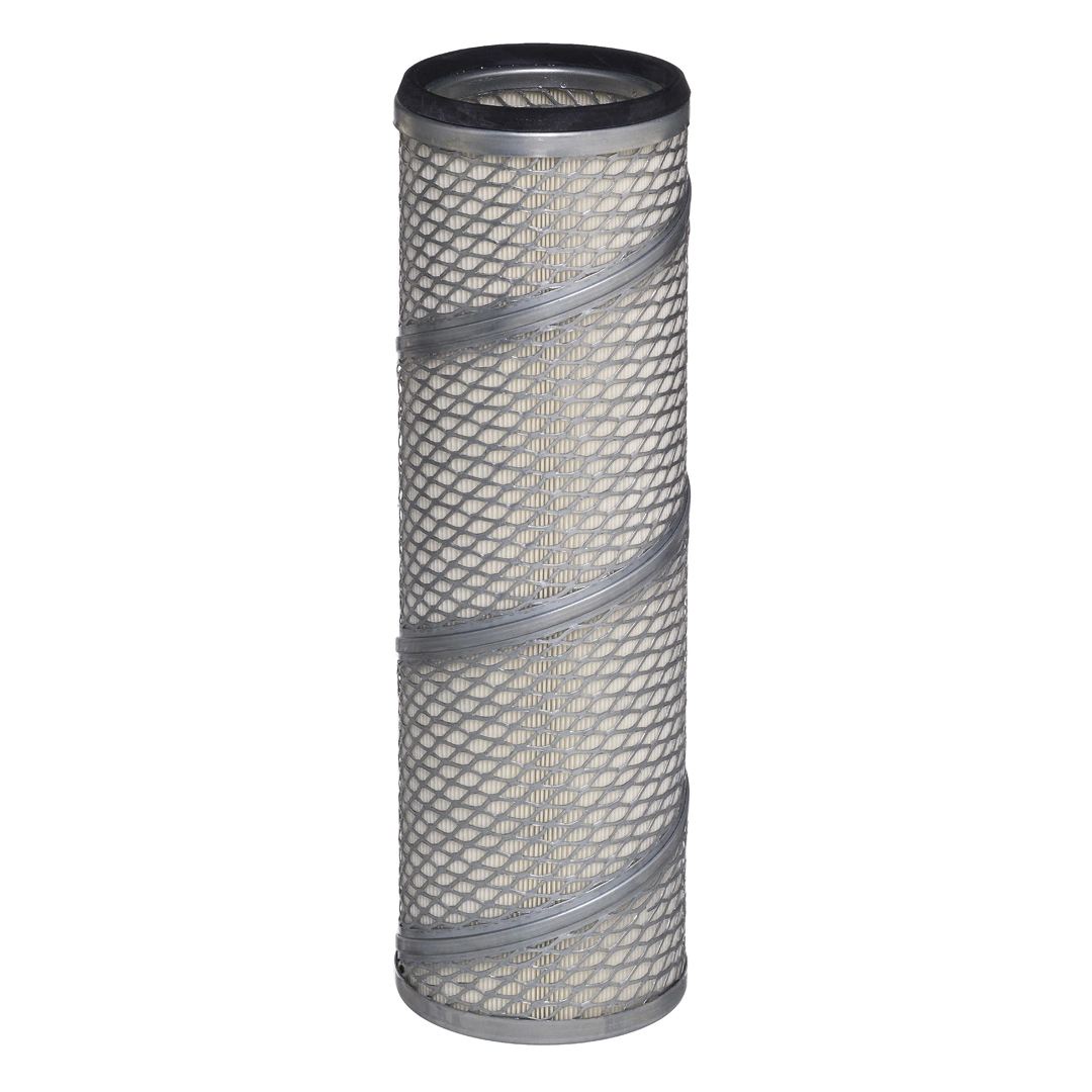 Secondary Air Filter